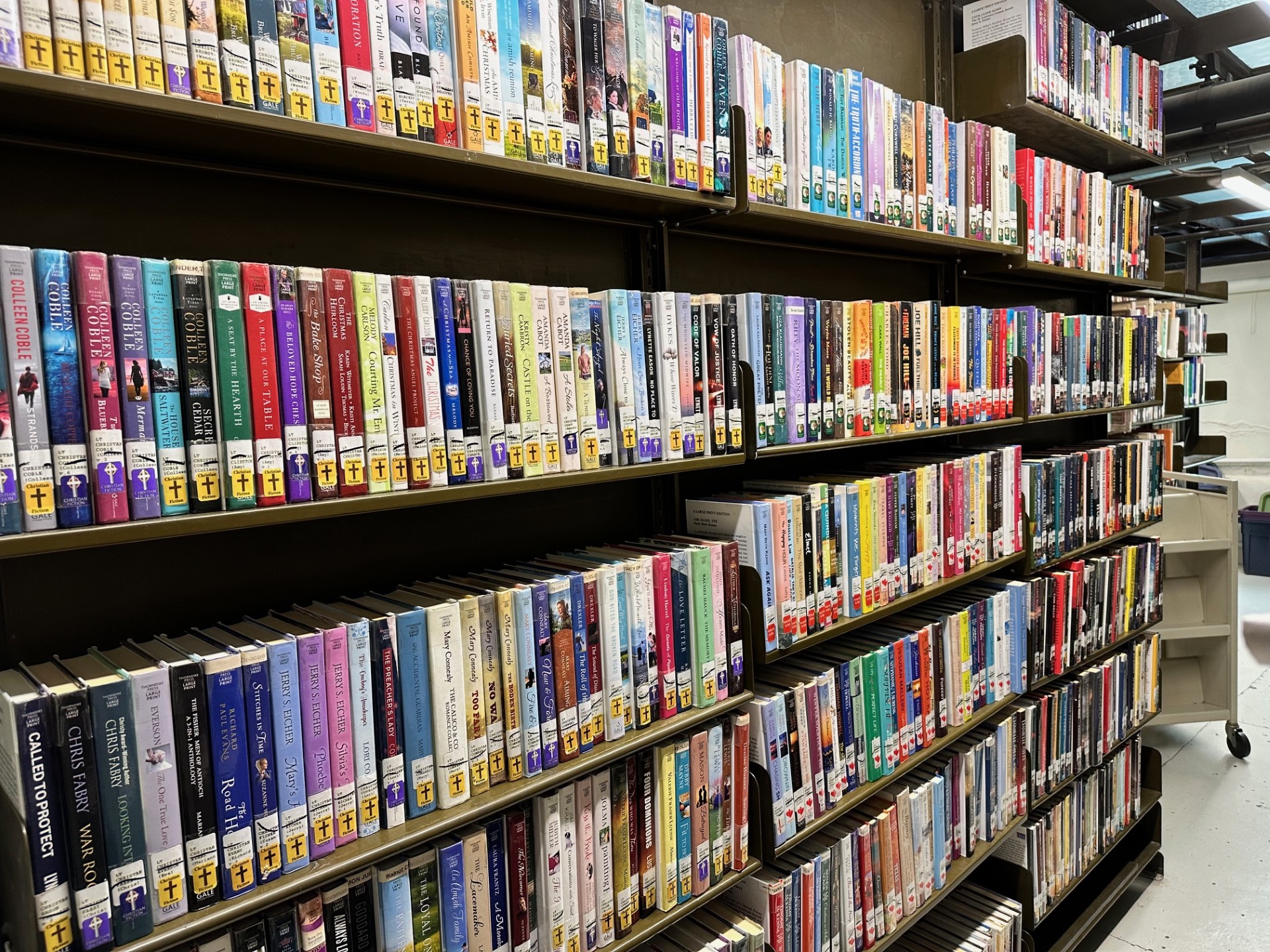 Various large print books reaching across illinois library system